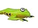 Safari Ltd  Incredible Creatures Flying Tree Frog