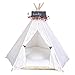 Zaihe Pet Teepee Dog & Cat Bed - Dog Tents & Pet Houses with Cushion & Blackboard, 24 Inch, Up to 15lbs, White, Lace Style