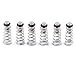 FERRODAY 6 PCS Poppet Valve Cornelius Keg Poppet Valve Stainless Stell Draft Beer Keg Parts Fits Ball Lock Beer Keg Post (Spring: 0.86 inch))