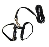 Marshall Ferret Harness and Lead, Black