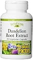 Natural Factors Dandelion Root Extract 425mg Capsules, 90-Count