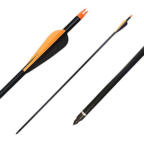 CQ Archery Practice Arrows for Recurve/Compound Bow or Traditional Bow (Targeting and Hunting) 30 inch Shaft with Removable Tips 12 Pack