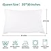Adoric 300 thread count brushed microfiber Queen Size Pillowcase Covers, White