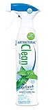 Refresh Your Car! 62000 Automotive Antibacterial Pacific Rain Scent Clean Spray, 16 oz