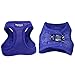 Downtown Pet Supply Step in Dog Harness for Small Dogs No Pull, Small, Blue - Adjustable Harness with Padded Mesh Fabric and Reflective Trim - Buckle Strap Harness for Dogs
