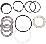 CASE D42869 Hydraulic Cylinder Seal KIT