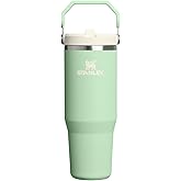 STANLEY IceFlow 2.0 Flip Straw Tumbler with Handle 30 oz | Twist On Lid and Flip Up Straw | Leak Resistant Water Bottle | Ins