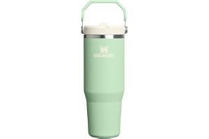 STANLEY IceFlow 2.0 Flip Straw Tumbler, 30 oz, Pistachio | Easy…