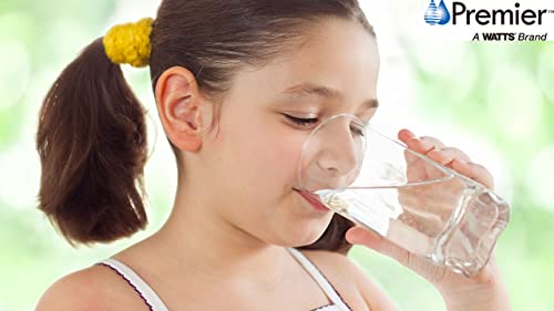 Watts Premier Annual 3-Pack Filtration Kit for 4 Stage RO-TFM-4SV and ZeroWaste RO Reverse Osmosis Systems - Sediment, Carbon Pre-Filter, 10