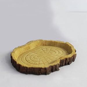 Alimentazione Rettile Resina Acqua Alimento Ciotola Piatto Pet Vivaio Tartaruga Geco Serpente