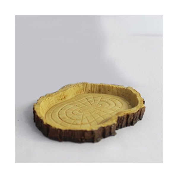 Alimentazione Rettile Resina Acqua Alimento Ciotola Piatto Pet Vivaio Tartaruga Geco Serpente