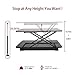 Hippo & Frog Standing Desk Height Adjustable Standing Desk Converter Sit to Stand Desk Riser