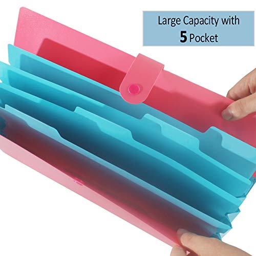 6 Pack Expanding File Folder 5 Pocket with 168pcs File Folder Labels, Plastic Organizer A4 Letter Size Expandable File Folder for School