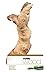 Fluval Mopani Natural Driftwood, Aquarium Decoration, Large