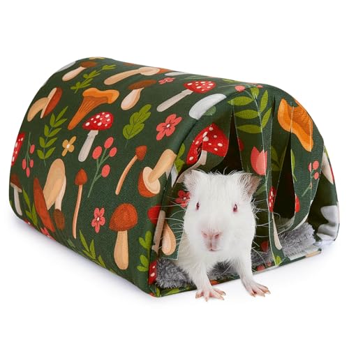 Unicorn Catcher Guinea Pig Tunnel