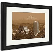 Amazon.com: ashley wood stoves