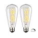 12W Led Filament bulb,Dimmable Edison Style Vintage LED Retro Light Bulb,100W Incandescent Replacement,Natural White 4000K,1200LM, E26 Medium Base Lamp, ST21(ST64) Antique Shape.(2 Pack)