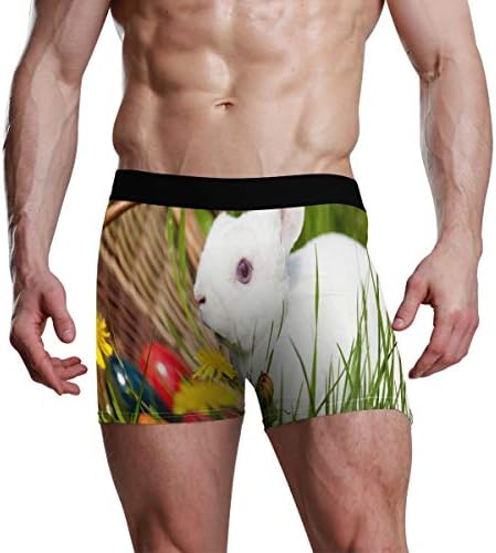 Men's Boxer Brief Rabbit in The Garden Personalized Underwear Breathable Comfortable