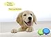 Glendan Large Size Collapsible Dog Bowl, Silicone Pet Travel Bowl for Dog Cat Food & Water, Foldable Expandable Cup Dish for Pet Cat Food Water Feeding Portable Travel Bowl Free Carabiner(L)