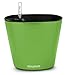 Aquaphoric Self Watering Planter (7”) + Fiber Soil = Foolproof Indoor Garden. Decorative Planter Pot for House Plants, Flowers, Herbs, Violets, Succulents. Easy Looks Great.