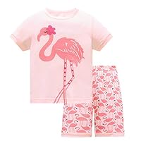 AmberEft Pajamas for Girls Toddler Shorts Summer Clothes Pink Flamingo Sleepwear Children PJS Set 5T