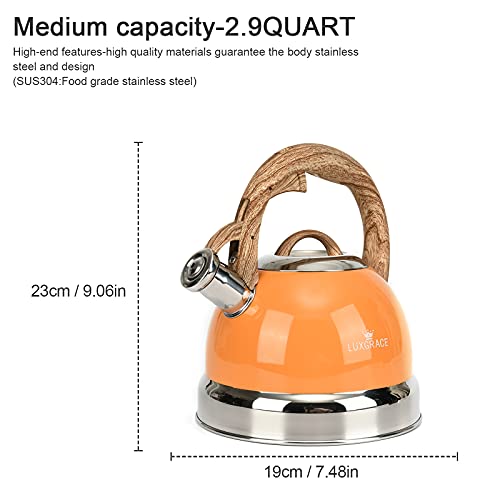 sp Tea Kettle 2.5 Quart Stovetop Whistling Teapot Stainless Steel Tea