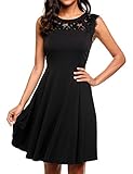 Beyove Women's Elegant Lace A-Line Sleeveless Pleated Cocktail Party Dress