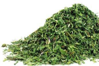 Bulk Herbs: Red Clover Leaf and Flower (Organic)