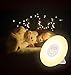 Wake Up Light, Alarm Clock Sunrise Simulation & Sleep Aid Feature, Bedside Night Light with FM Radio, 6 Nature Sounds, Touch Control and Snooze for Kids Adults Bedrooms(6638-Sunrise Alarm Clock)