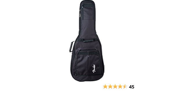 fender metro gig bag