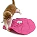 Blackhole Catch The Tail Cat Toy