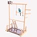 QBLEEV Parrot Play Stand Bird Gym Playground Wooden Perches with Ladders Hanging Bell Feeding Watering Cups Birdcage Toys for Cockatiel Conures Parakeets Canaries Pigeons Finches (14.17″x9″x20.8″)thumb 4