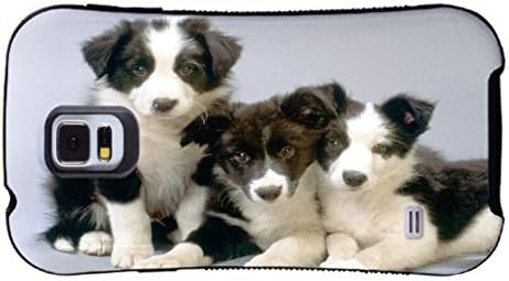 Border Collie Dog Puppy Puppies K9 Protection Shock Drop Proof Dual Layer Rubber/ABS HYBRID Case for Samsung Galaxy S5
