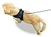 Copatchy No Pull Reflective Adjustable Dog Harness With Handle- Comfortable Soft All Weather Mesh, Easy On Puppy Harness For Small Medium and Large Dogs (Blue) X-Small