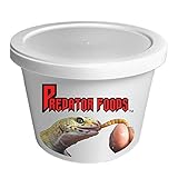 Bulk Live Mealworms - 1000 count (Large - 1")