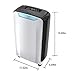 OULUN Compact 20 pint Portable Dehumidifier with Humidity Sensor, Timer, 2 Speed Settings & Auto Shut Off. Ideal For Home Or Office