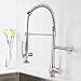 FLG Commercial Style Single Handle Pull Down Kitchen Sink Faucet with Lock Sprayer,Brushed Nickel