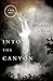 Into the Canyon: A River Novel