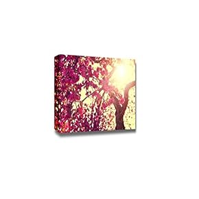 Spring Nature Scenery Landscape Blooming Tree Over Sunny...
