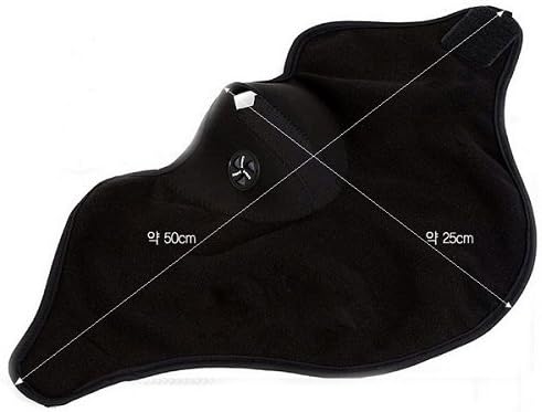 Blue Half-Face Winter Ski Mask