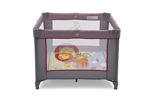 4 Delta+Children+Play+Yard+Jungle