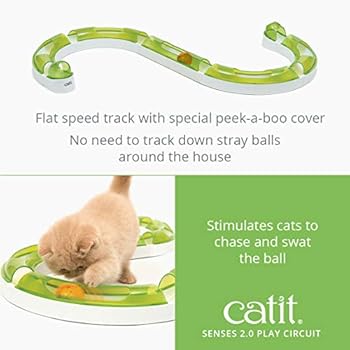 catit Szyna do gry Play - Play Circuit: Amazon.pl: Home