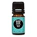 Sleep Ease Synergy Blend Essential Oil by Edens Garden- 5 ml (Camphor, Chamomile, Coriander, Geranium, Jasmine, Lavender, Lemon, Rose, Rosewood, Palmarosa and Ylang Ylang)