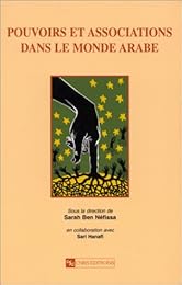 Pouvoirs et associations dans le monde arabe