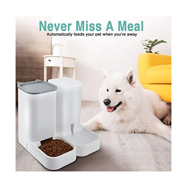 self dispensing dog feeder