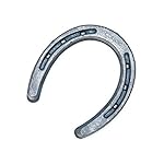 Diamond Farrier DC0B Horseshoe, 0 Classic Plain, 20 Pairs
