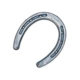 Diamond Farrier DC2B Horseshoe, 2 Classic Plain