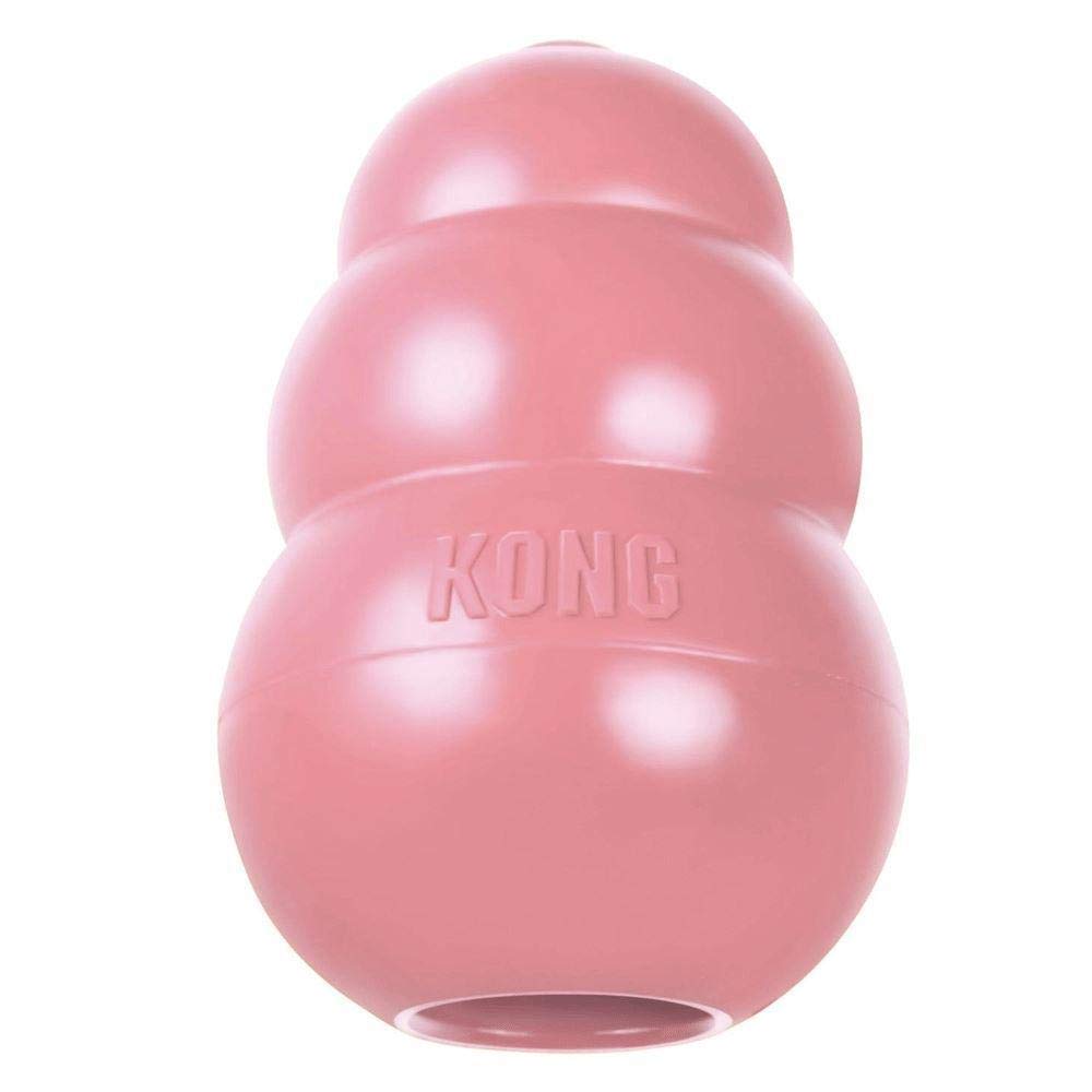 KONG Dog Toy, Medium, Assorted Colours