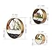 Gold 3 Pcs Round Indoor Wall Succulent Hanging Planter, Metal Decorative Freestanding Mount Holder with Glass for Air Plants, Faux Flower