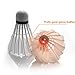 OUTERA [6-Pieces] LED Shuttlecock Badminton Birdies Set Badminton Glow in The Dark Shuttlecocks Lighting for Outdoor Fun for Your Family[1 Year Warranty]